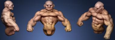 3D model Study Muscle (STL)